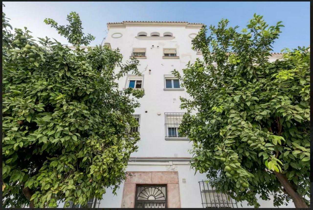 Apartamento Milagros 110 M2 Malaga Exterior photo